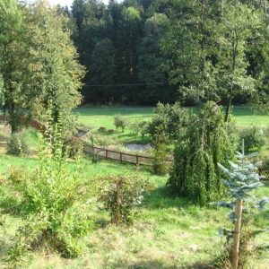 Arboretum Semetín